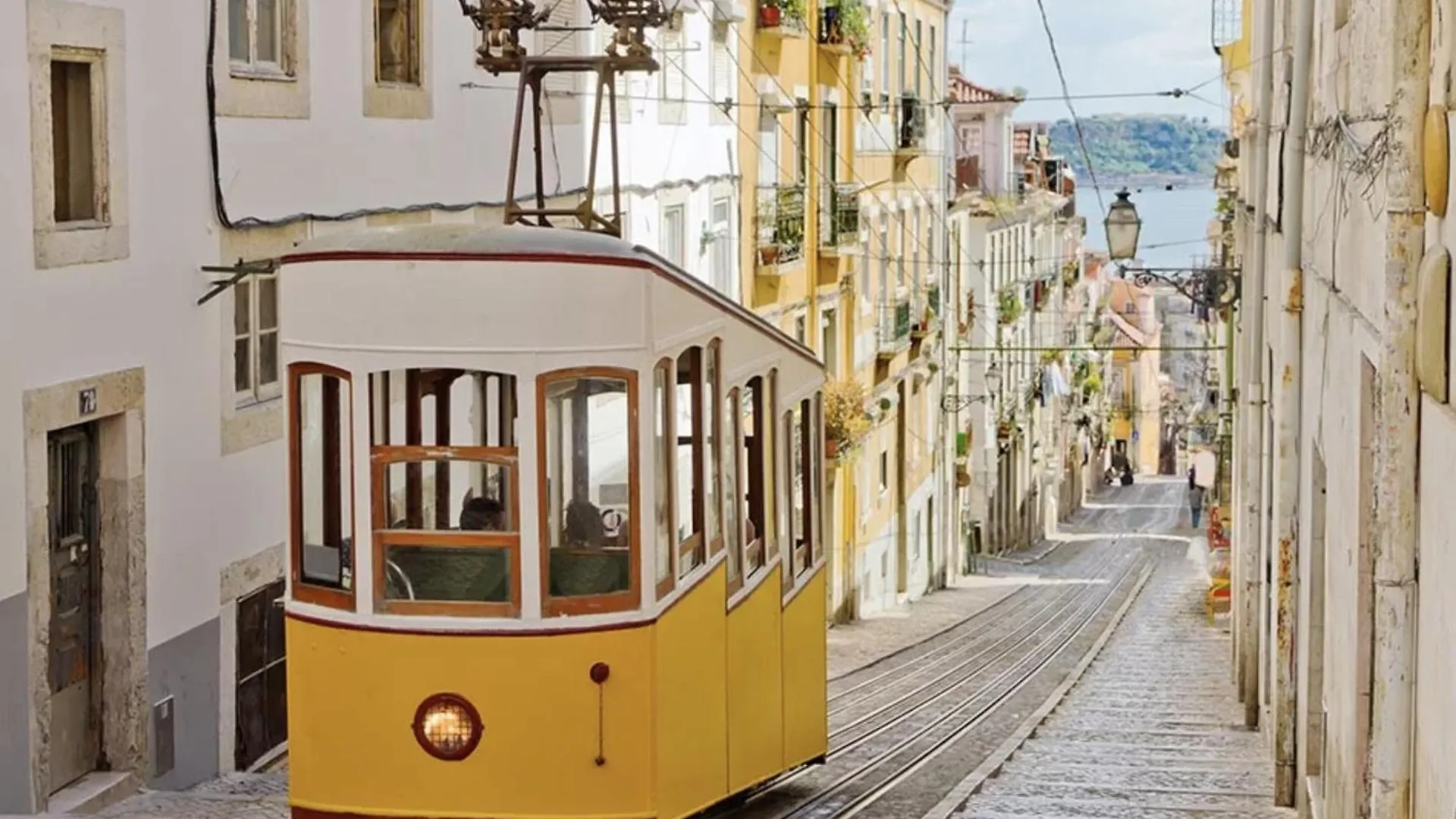 Alfama Haven contacts